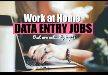 Data entry,  typing,  MS Word,  MS excel,  Text Document specialist