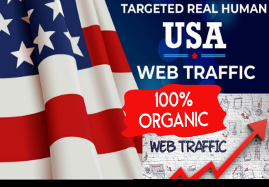 One Month 30 Days Premium USA Real Organic Visitors Traffic to Website UNLIMITED