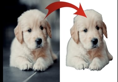 I will remove 100 background images just 5 hours