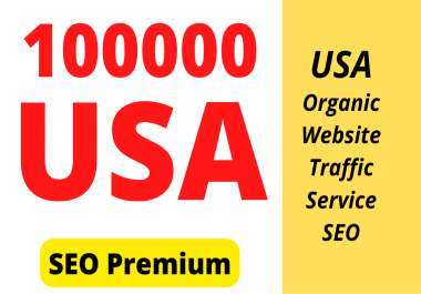 I will provide 100000 USA OR Europe real targeted visitors for your website