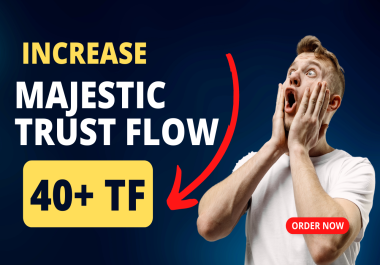 I will increase Majestic Trust Flow TF 30 Plus with SEO Backlinks
