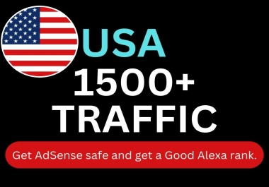 I will do USA Targeted 1500 High-Quality Web Traffic to Your Website or Blog Site.