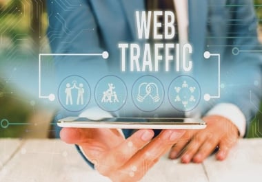 I will drive organic usa web organic traffic to your website