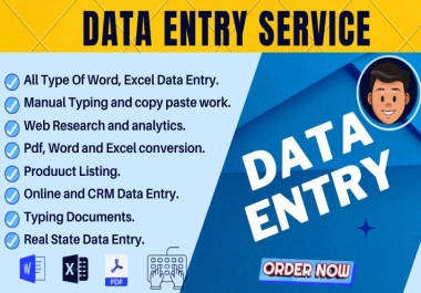 I will do Data Entry,  Copy paste,  Excel data entry
