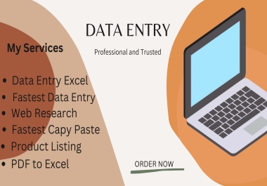 I will do professional data entry,  web research,  Lead generation and copy paste