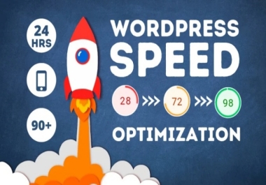 I Will Speed Up Your Wordpress Website For Google PageSpeed Insight