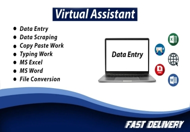I will be your virtual assistant for all your data entry data typing work