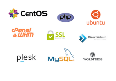 I will fix issues of your linux server,  cPanel/WHM,  Plesk,  Directadmin,  PHP,  MySQL,  DNS