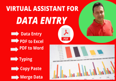 I will be your professional virtual assistant for Excel,  web research and Data entry work.