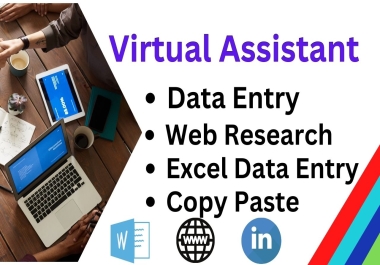 I'll do excel data entry,  copy paste,  web research and b2b lead generation
