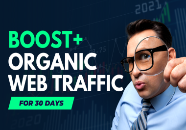 Real web traffic visitors to your website