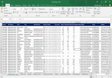 I am one of the best Data entry operator and Excel expert