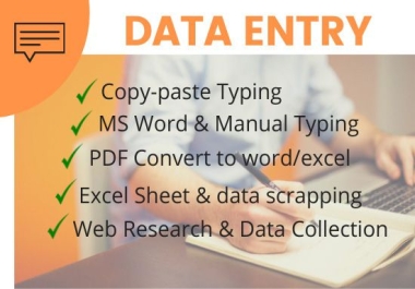 I will data entry,  copy paste,  web scraping and excel data entry