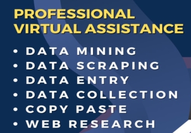 I will do excel data entry for web Research, data cleaning,  data mining or find emails address