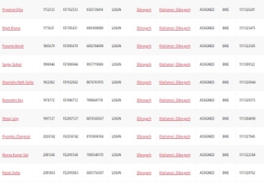 Data entry with 100 percent accuracy and fully detailed information with in all formats, graphics.