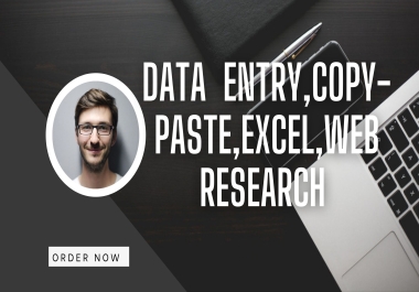 I will do data entry work for you
