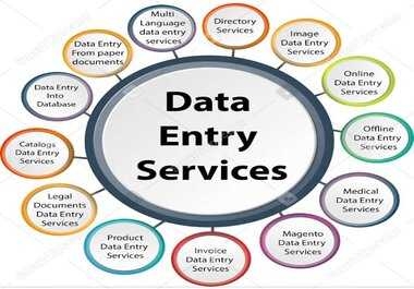Data Entry,  Typing,  Copy and Paste works provided by certified and professionals.