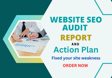 I will do a winning SEO audit for your website With Action Plan