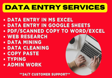 Data entry in Google Sheets,  MS Excel,  Copy paste,  Web research,  and Manual typing in just 24 hours