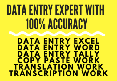 Expert in fast data entry with 100 accuracy