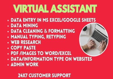 Virtual Assistant for data entry,  data mining,  web research,  copy paste & manual typing