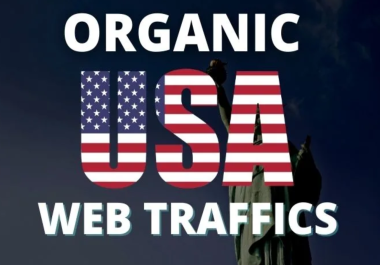 USA Web Traffic 20,000 for 10 days
