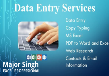 I will do professional data entry for you