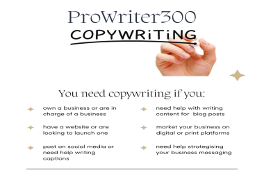 A professional copywriter that is able to deliver within the given time.