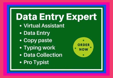I will do all Data Entry,  Data Collection,  Virtual Assistant,  Typing Work,  Documents convert.