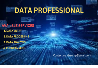I will provide you data entry,  processing and analysis service