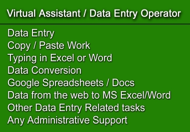 I will be your Virtual Assistant for Administrative other Clerical Works