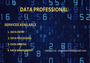 I am data service provider for data entry,  processing & management