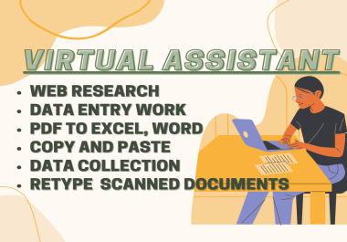 I will do data entry,  copy paste,  web research and excel data entry