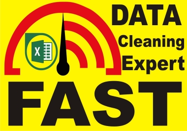 I will do fast and Accurate cleaning data in excel,  data cleanup,  Data Formatting