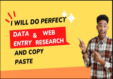 I will do perfect data entry,  web research,  copy paste and file conversion