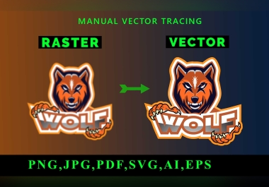 I will convert your sketch or existing logo to vector