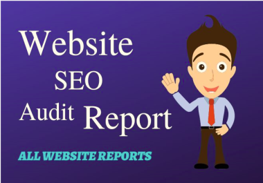 I will provide you a Professional and Technical Website Audit Report.