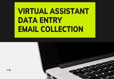 Virtual assistant for data entry,  personal assistant,  email collection