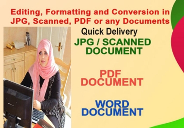 I will convert PDF to WORD ,Excel ,JPEG and PNG 20 pages