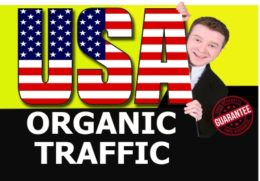 I will send low bounce organic web traffic from USA