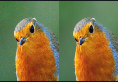 I will remove the noise in your image