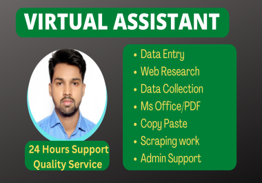Virtual assistant for data entry web research data collection