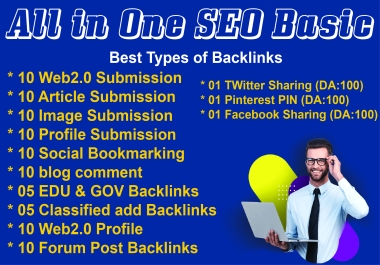 All in One SEO Basic BOOST YOUR SERP by Building