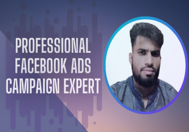 I will create ads campaign in the ads manager