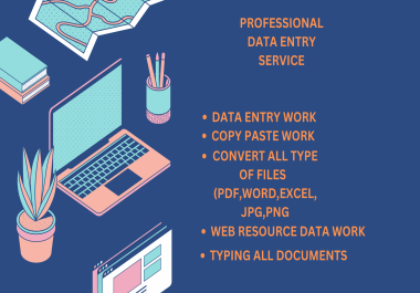I will do a professional data entry work and data collection.
