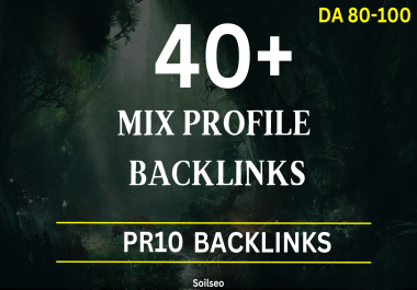 Manually Build 40+ Dofollow Profile Backlinks DA 80+ Safe High Quality