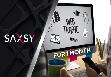 Website Traffic for 1 month for any niche