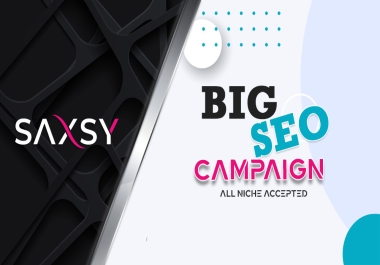 BIG Seo Campaign for all niche websites!