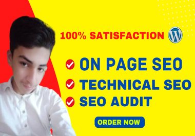 I will do indepth Onpage SEO and Technical SEO for your WordPress website
