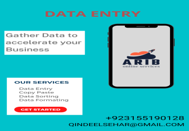 Order for Error Free Professional Data Entry Services